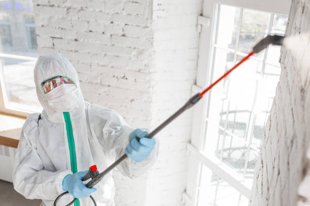 Best Asbestos and Lead Testing During Mold Inspection  in Lowry Crossing, TX